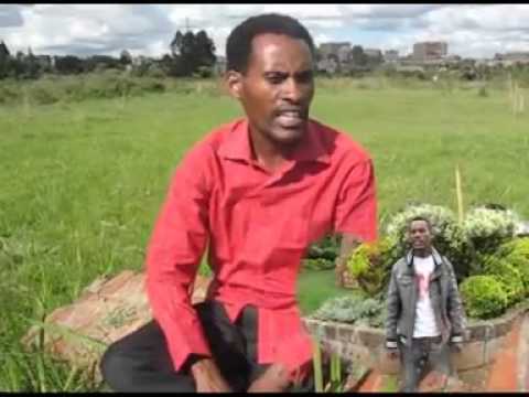 Aman Gobana - Harmee tiyya (Oromo Music)
