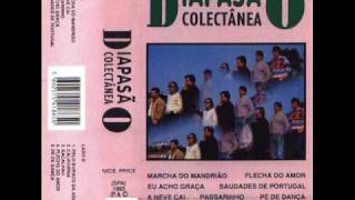 Video thumbnail of "Diapasao - Marcha do Mandriao"