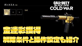 【CoD:BOCW】XM4金迷彩獲得！解除条件と操作設定も紹介！