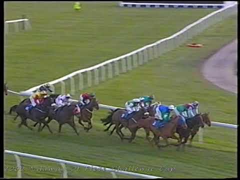 2002 Mildmay Of Flete Challenge Cup Handicap Chase