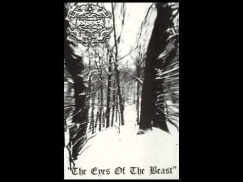Astrofaes - The Light of Blood and Pain