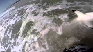 preview picture of video 'Mullet Run Blacktip 9/18/14 Ponte Vedra Beach, FL'
