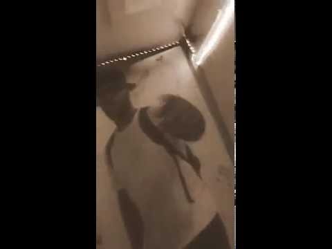 Thug zoe, Don't play with  Zoe