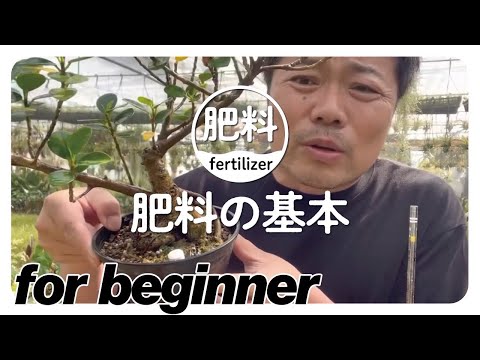 園芸知識:弱食者 トピックス