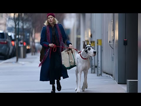 Трейлеры Верный друг