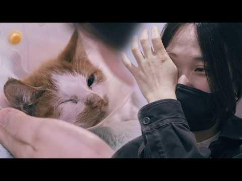 Please just live! (Aganyang Noeul)