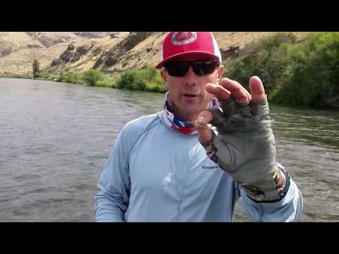 Dry Fly Action -The Ripple Effect // Powerhour Tip of the Week