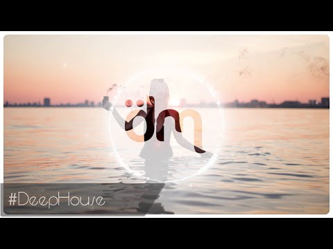 Sam Feldt - Shadows Of Love Ft. Heidi Rojas (Sean PM Remix)