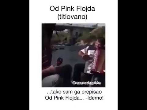 HEJ TIČA KICA VICA LONNNN