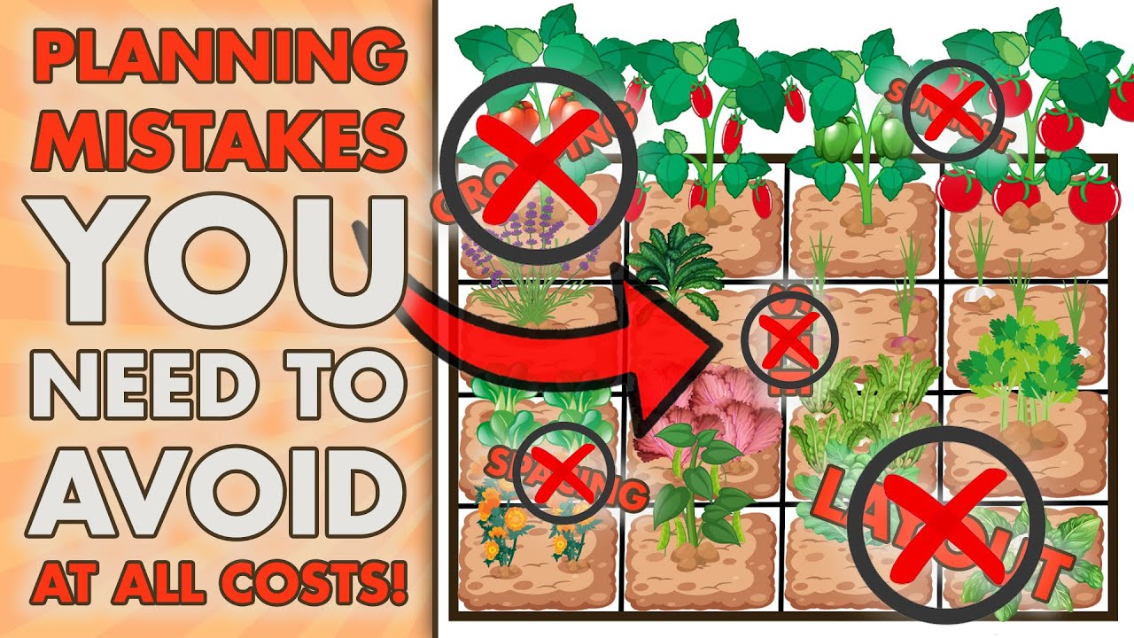 6 LARGEST Square Foot Garden Planning MISTAKES That You Wont Believe You Are Making!