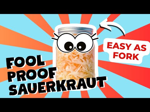 The Only Sauerkraut Tutorial You'll Ever Want (Special Success Bonus)