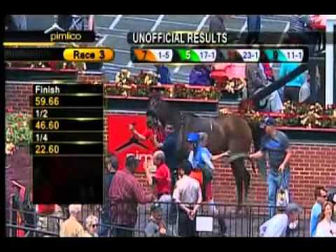 Pimlico 05/22/15 race 3