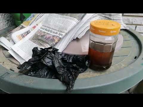 Rote Vogelmilbe 😨 ist es das Aus für Müllers Hühnerfarm?