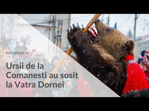 Urșii de la Comănești la Festivalul de Datini și Obiceiuri de Iarnă de la Vatra Dornei