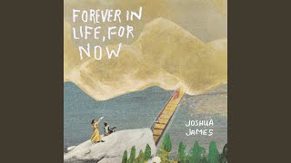 Cover art for If You Can Drive