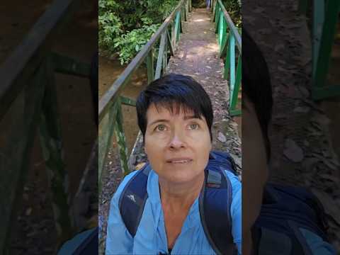 Carara National Park, Puntarenas Province, Costa Rica