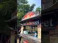 Gujarat Madhe Marathi Mansa Cha Business Youtubeshorts Shorts Food Streetfood