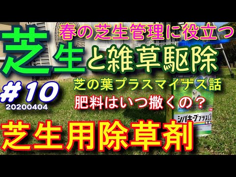 芝生の草取りはいつするの？夏の間ずっと美しい芝生を維持するにはどのような製品を使用する必要がありますか?  庭園
