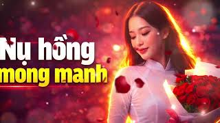 Nụ Hồng Mong Manh | Tình Khúc Nhẹ Nhàng Chạm Đến Trái Tim 🌹💖