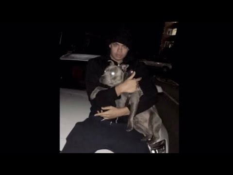 Best of Micofcourse Volume 1