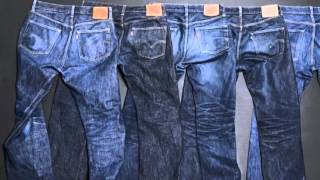 Levi Blues - Livingston Taylor