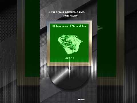 Mauro Picotto - Lizard (Paul Oakenfold rmx) #vinyl #techno #electronicmusic