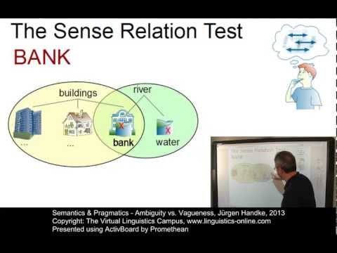 SEM130 - Ambiguity vs. Vagueness