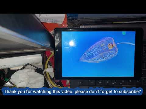 How to Bypass Google Verification on Blackview Tab 5 - Skip FRP