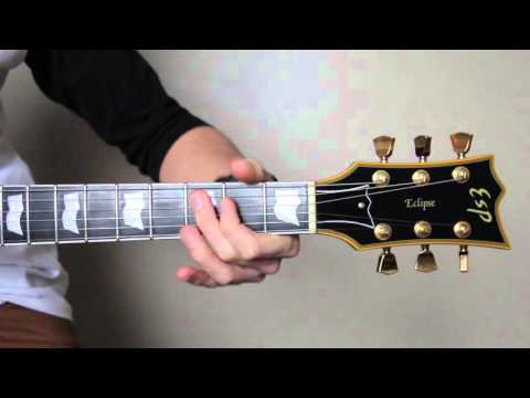 #244 PANTERA - Shedding Skin