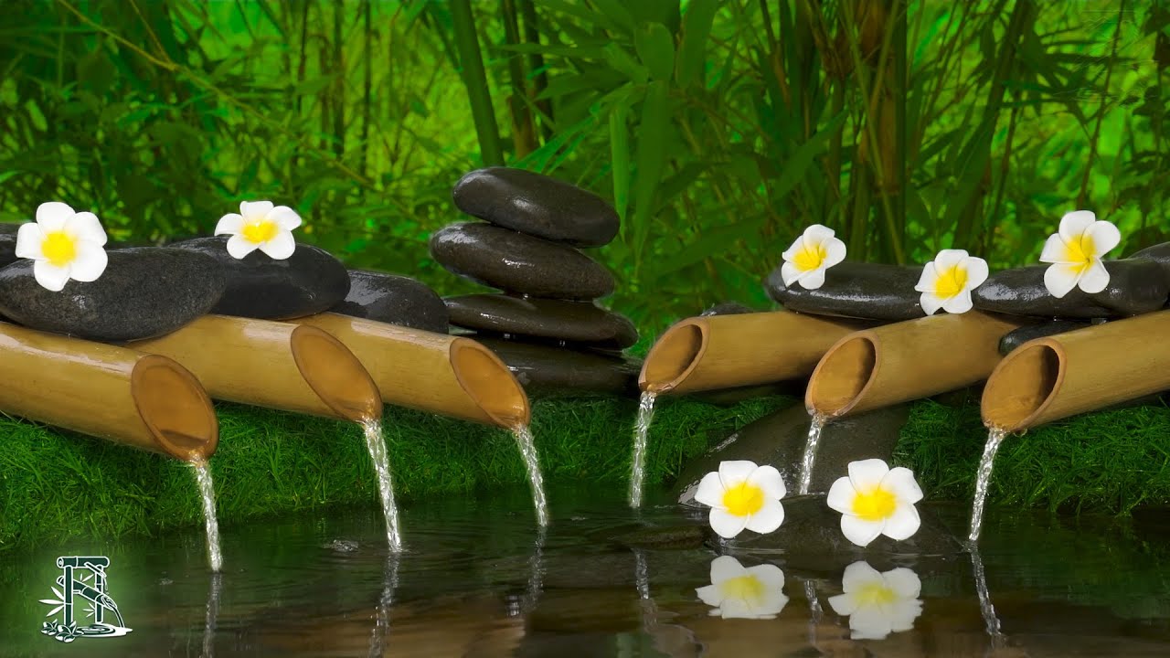 Relaxing Music💦Meditation, Sleep Music, Healing, Stress Relief, Yoga, Nature Sounds and Water Sounds