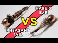 PHEASANT TAIL VS. HARE'S EAR | Which Nymph Will Win?