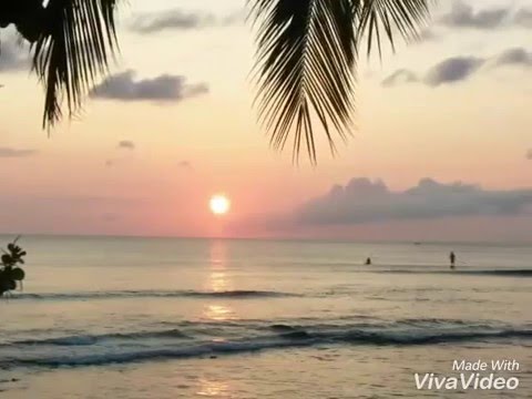 Tobago (West Indies)Surfers Mt Irvine beach
