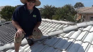 preview picture of video 'ROOF CLEANING COMPANY WEST PALM BEACH GARDENS BOCA 502-ROOF'
