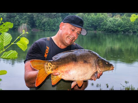 Carp fishing VTB 84 - A few hours at the park lake // FAQ: Line, rod pod, leader material