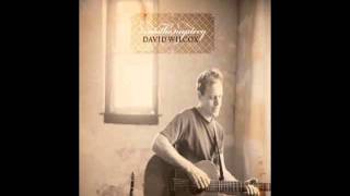 If It Wasn't For The Night - David Wilcox