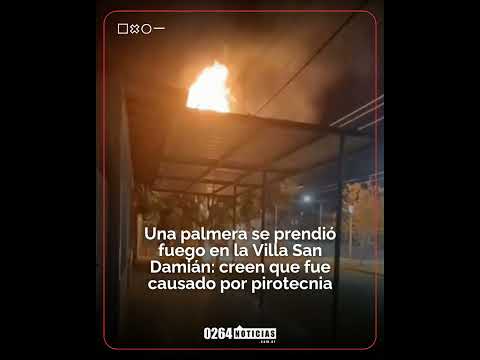 🔥 Se incendió una palmera en Rawson🌴 #SanJuan #Rawson #Bomberos #Incendio