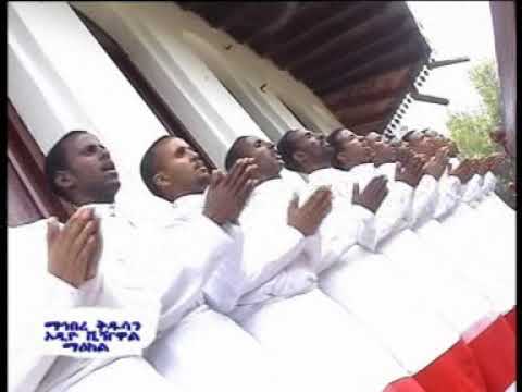 ቀዋምያን ለነፍሳት