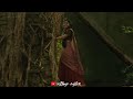 Kattivachikko Enthan Anbu Manasa Malaysia Vasudevan S Janaki Ilayaraja