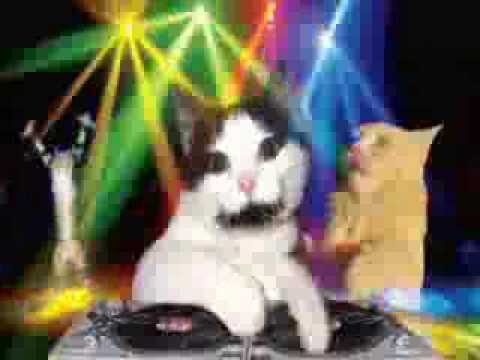 Dj89 - Beber le chat trance ( Extrait )