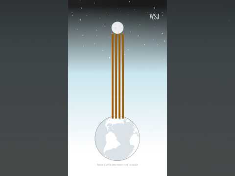 Video thumbnail: You Have No Idea How Much a Trillion Dollars Is — and We Have Proof | WSJ