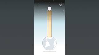 Thumbnail for You Have No Idea How Much a Trillion Dollars Is — and We Have Proof | WSJ