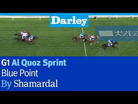 Blue Point by Shamardal wins the G1 Al Quoz Sprint at Meydan