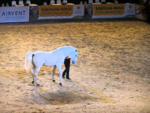 OTP LK 2011 Szabadidomítás