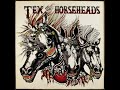 Tex And The Horseheads S T 1984 Full Album
