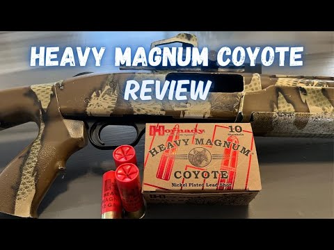Coyote Shotgun Loads -Hornady Heavy Magnum Coyote