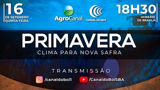 Miniatura do vídeo