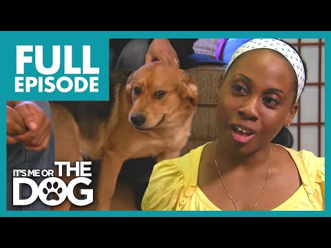 Growing Pains | Season 1 Episode 20 | It's Me Or The Dog US