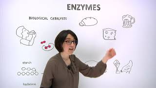 What are enzymes?