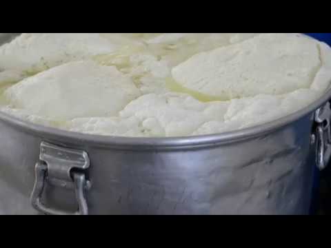 صناعة الجبن في معمل (ام حسن ابو ركبة) بمحافظة مادبا.. - فيديو