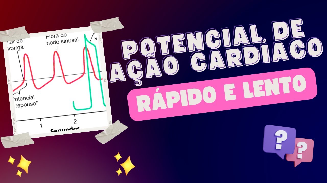 04   POTENCIAL DE AÇÃO CARDÍACO